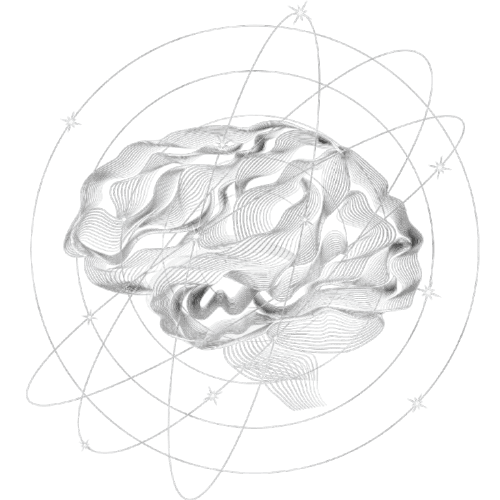 Brain Illustration